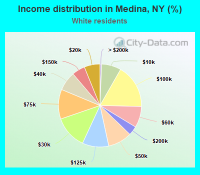 Income distribution in Medina, NY (%)