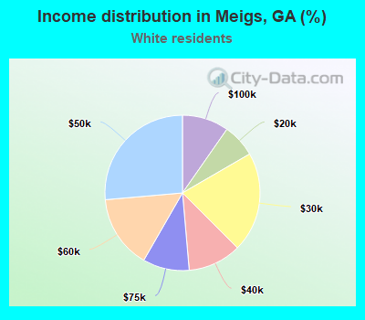 Income distribution in Meigs, GA (%)
