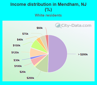 Income distribution in Mendham, NJ (%)