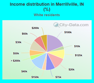 Income distribution in Merrillville, IN (%)
