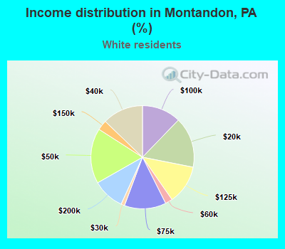 Income distribution in Montandon, PA (%)