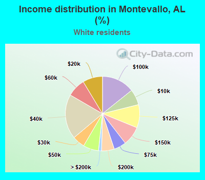 Income distribution in Montevallo, AL (%)