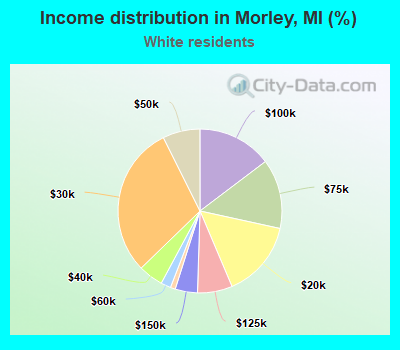 Income distribution in Morley, MI (%)