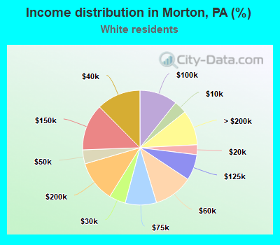 Income distribution in Morton, PA (%)