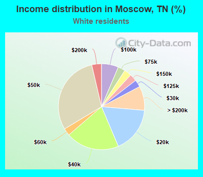 Income distribution in Moscow, TN (%)