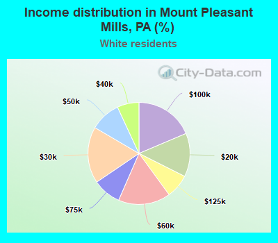 Income distribution in Mount Pleasant Mills, PA (%)