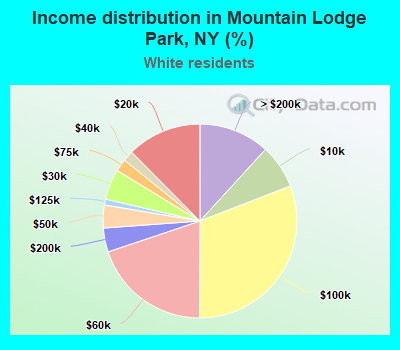 Income distribution in Mountain Lodge Park, NY (%)