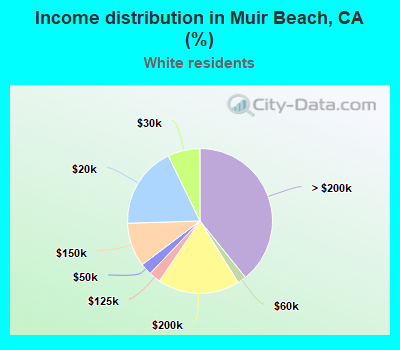 Income distribution in Muir Beach, CA (%)