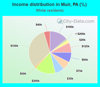 Income distribution in Muir, PA (%)