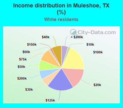 Income distribution in Muleshoe, TX (%)