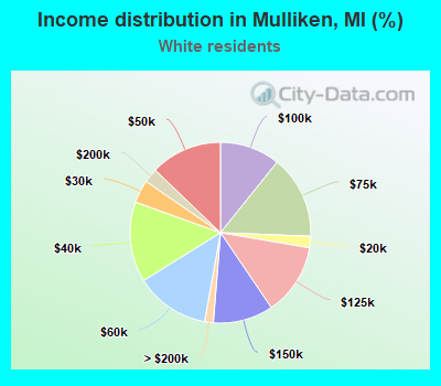 Income distribution in Mulliken, MI (%)