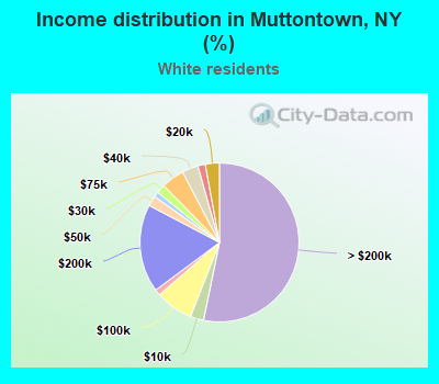Income distribution in Muttontown, NY (%)