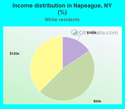 Income distribution in Napeague, NY (%)