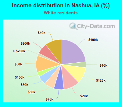 Income distribution in Nashua, IA (%)