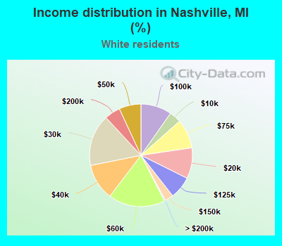 Income distribution in Nashville, MI (%)