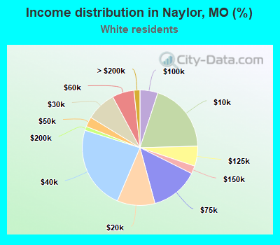 Income distribution in Naylor, MO (%)
