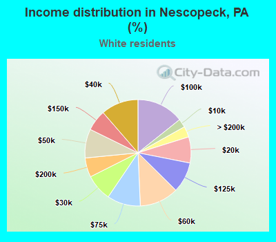 Income distribution in Nescopeck, PA (%)