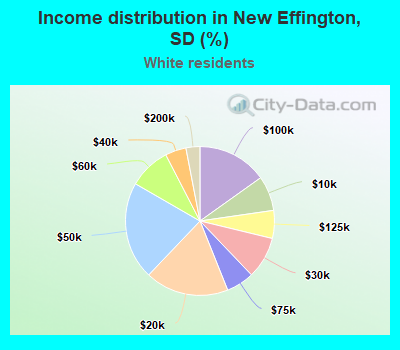 Income distribution in New Effington, SD (%)