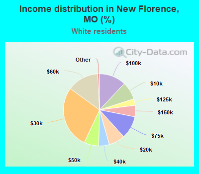 Income distribution in New Florence, MO (%)