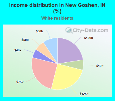 Income distribution in New Goshen, IN (%)