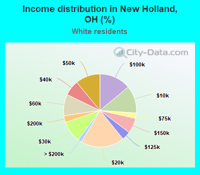 Income distribution in New Holland, OH (%)