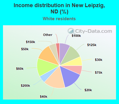 Income distribution in New Leipzig, ND (%)