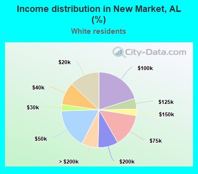 Income distribution in New Market, AL (%)