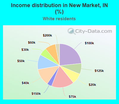 Income distribution in New Market, IN (%)