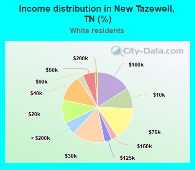 Income distribution in New Tazewell, TN (%)