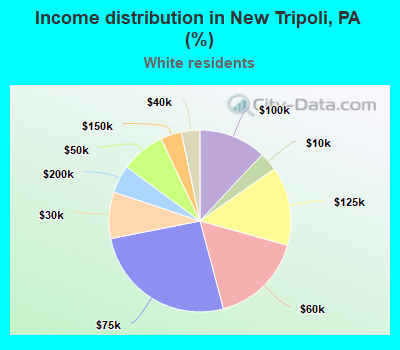 Income distribution in New Tripoli, PA (%)