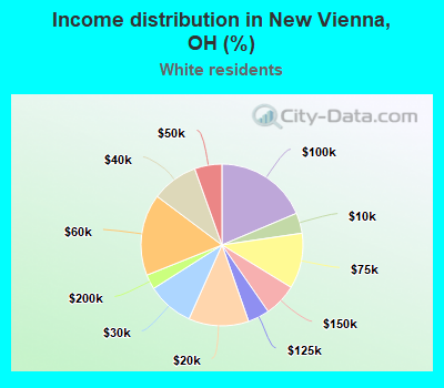 Income distribution in New Vienna, OH (%)
