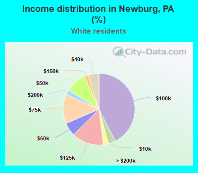 Income distribution in Newburg, PA (%)
