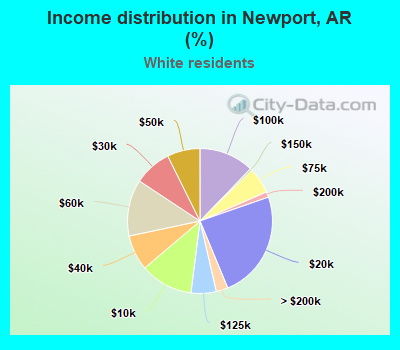 Income distribution in Newport, AR (%)