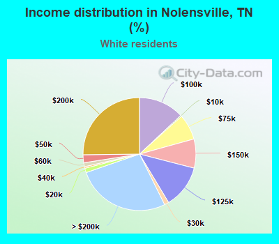 Income distribution in Nolensville, TN (%)