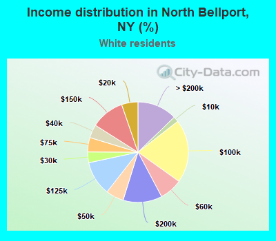 Income distribution in North Bellport, NY (%)