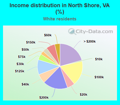 Income distribution in North Shore, VA (%)