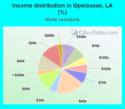 Income distribution in Opelousas, LA (%)