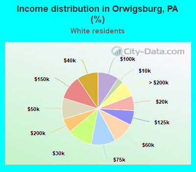 Income distribution in Orwigsburg, PA (%)