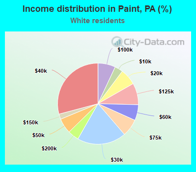 Income distribution in Paint, PA (%)