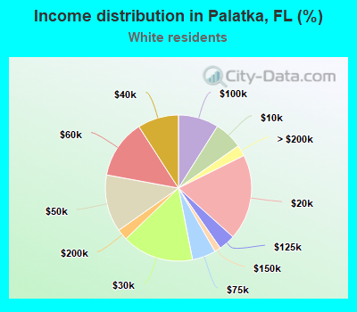 Income distribution in Palatka, FL (%)