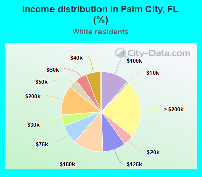 Income distribution in Palm City, FL (%)