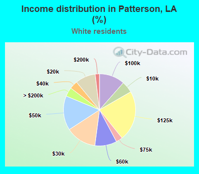 Income distribution in Patterson, LA (%)