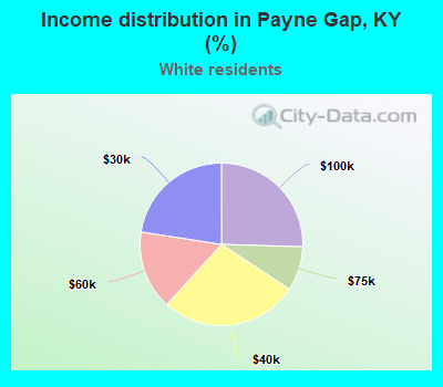Income distribution in Payne Gap, KY (%)