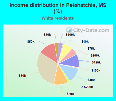 Income distribution in Pelahatchie, MS (%)