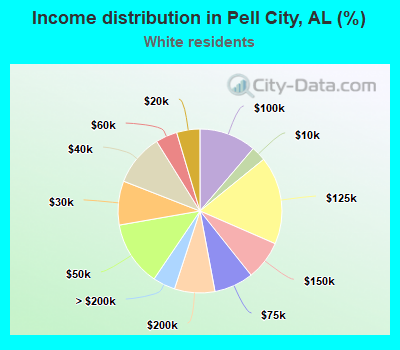 Income distribution in Pell City, AL (%)