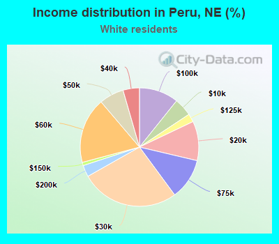 Income distribution in Peru, NE (%)
