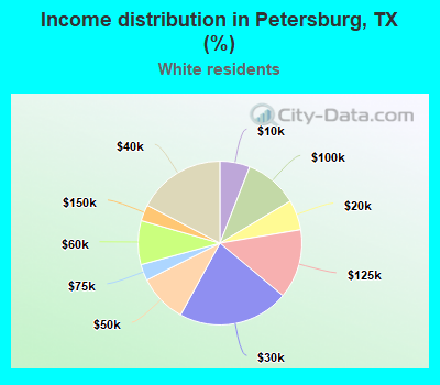 Income distribution in Petersburg, TX (%)