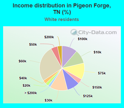 Income distribution in Pigeon Forge, TN (%)