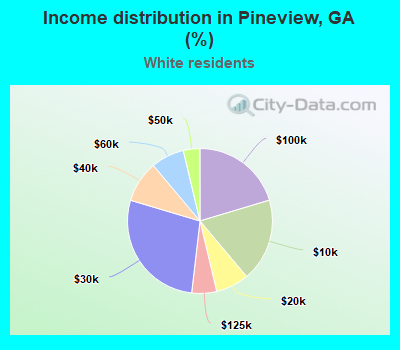 Income distribution in Pineview, GA (%)