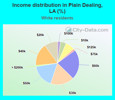 Income distribution in Plain Dealing, LA (%)